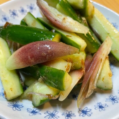 茗荷と鰹節でいい香り☆シャキシャキ酒のアテになります(^^)あっさり味で夏にぴったり♫茗荷好きの母が喜んでます！美味しいレシピありがとうございます(´∀｀*)